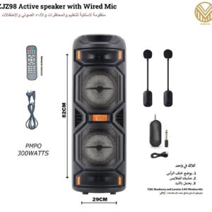 ZJZ98 Active Wireless Speaker