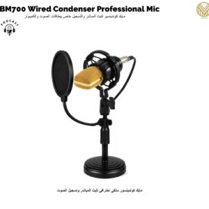 BM700 Wired Condenser Microphone